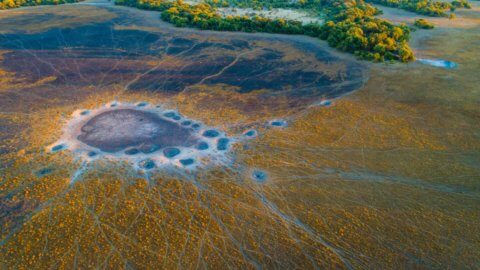 Blick von oben auf ein Wasserloch im Okavango Delta - ein Farbenspektakel.