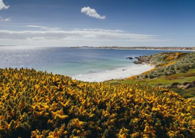 Landschaft der Falklandinseln