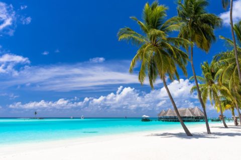 Weiße Strand, Palme und türkisfarbenes Meer des Indischen Ozeans