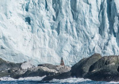 Point Wild mit Endurance Memorial Site auf Elephant Island, Antarktis