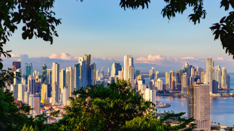 Aussicht auf Panama-City umrahmt von den Blättern des Regenwaldes