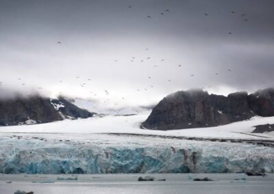 14. Juli - Gletscher