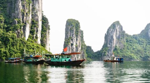 Traditionelle Schiffe vor den Kalksteinfelsen in der Halong-Bucht