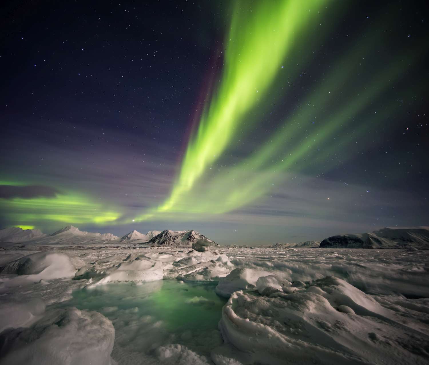 Nordlichter über der arktischen Landschaft